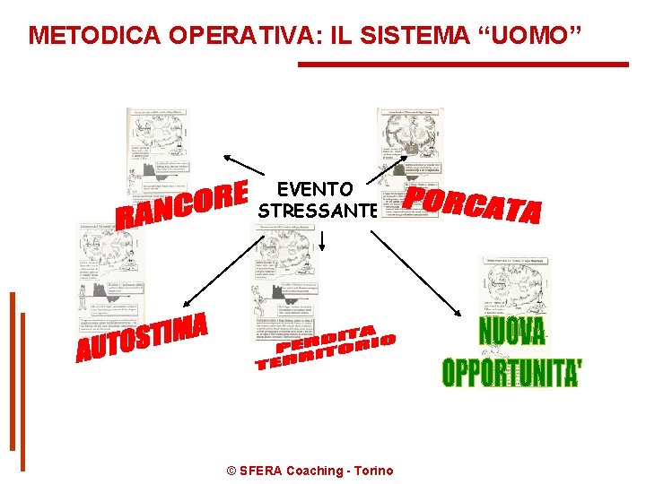 METODICA OPERATIVA: IL SISTEMA “UOMO” EVENTO STRESSANTE © SFERA Coaching - Torino 