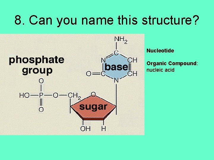 8. Can you name this structure? Nucleotide Organic Compound: nucleic acid 