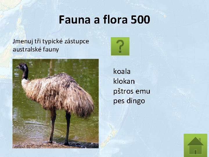 Fauna a flora 500 Jmenuj tři typické zástupce australské fauny koala klokan pštros emu