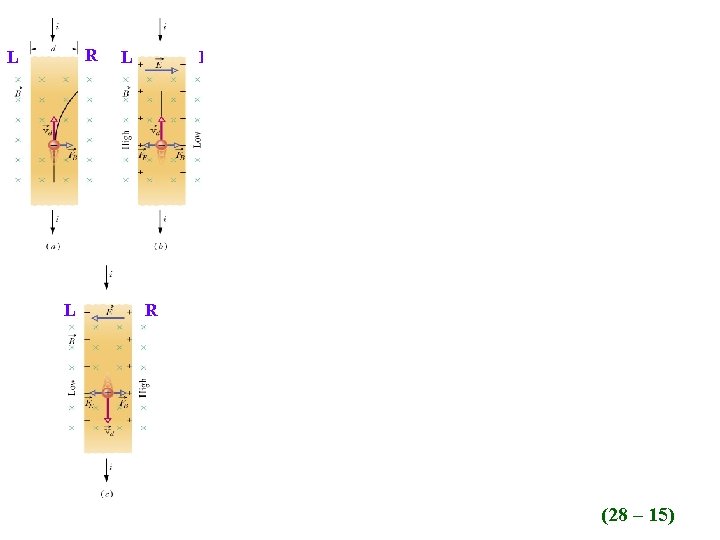 R L L Magnetism L R R 22 (28 – 15) 