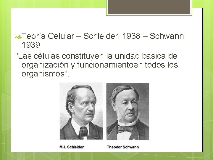  Teoría Celular – Schleiden 1938 – Schwann 1939 "Las células constituyen la unidad