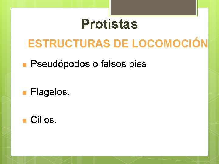 Protistas ESTRUCTURAS DE LOCOMOCIÓN n Pseudópodos o falsos pies. n Flagelos. n Cilios. 