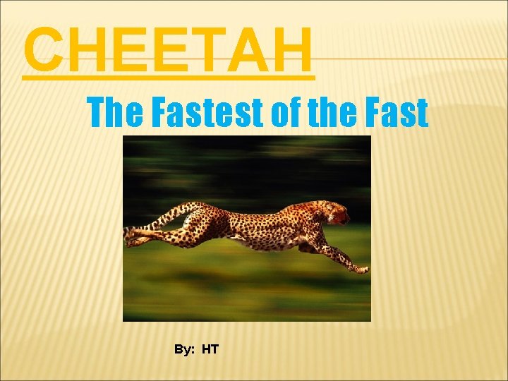 CHEETAH The Fastest of the Fast By: HT 