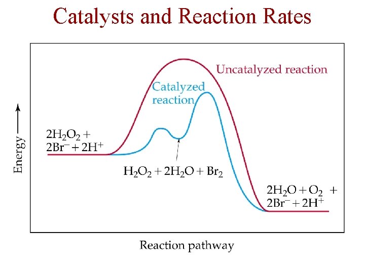 Catalysts and Reaction Rates 