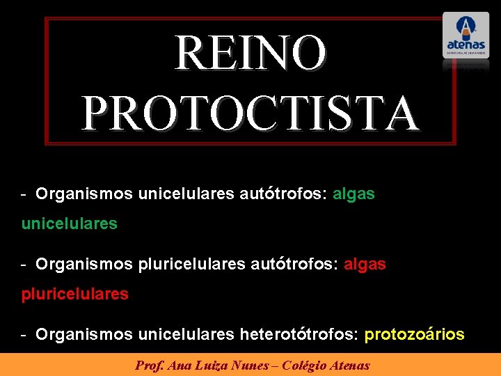 REINO PROTOCTISTA - Organismos unicelulares autótrofos: algas unicelulares - Organismos pluricelulares autótrofos: algas pluricelulares