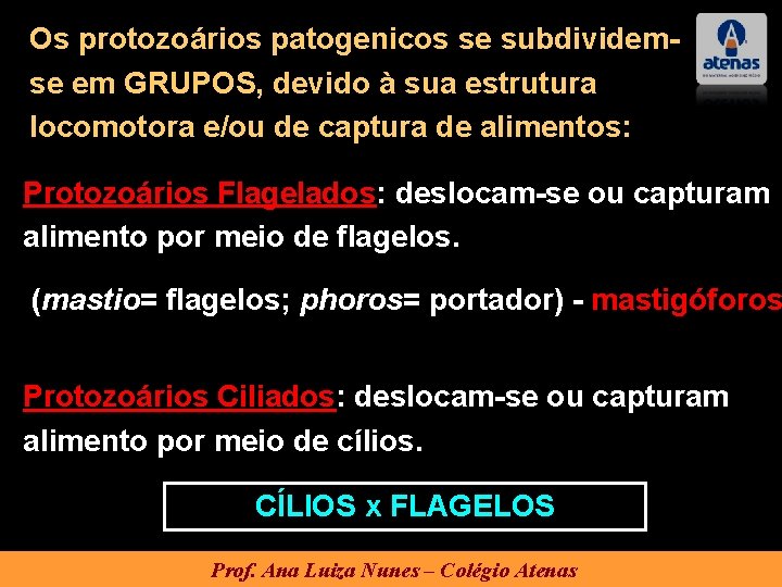 Os protozoários patogenicos se subdividemse em GRUPOS, devido à sua estrutura locomotora e/ou de