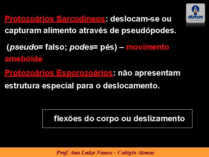 Protozoários Sarcodíneos: deslocam-se ou capturam alimento através de pseudópodes. (pseudo= falso; podes= pés) –