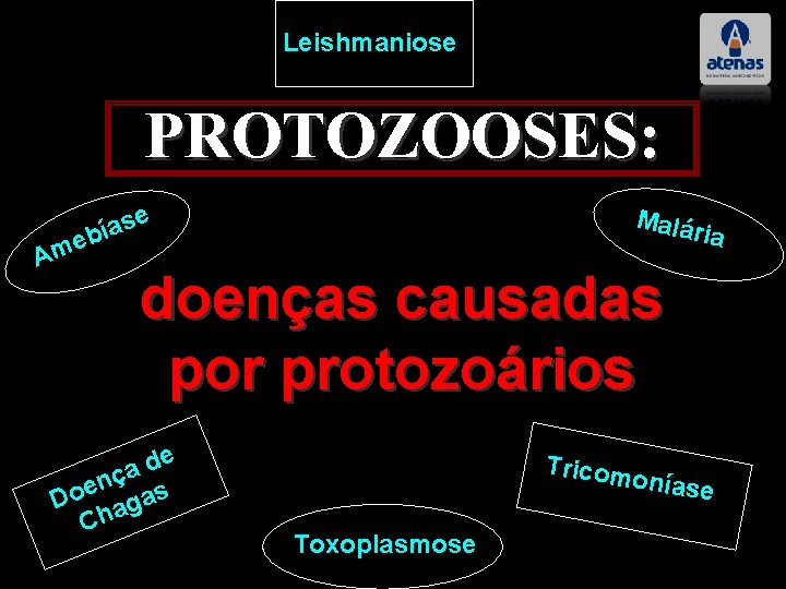 Leishmaniose PROTOZOOSES: se a í eb Am Malár ia doenças causadas por protozoários de