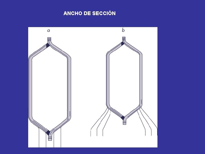 ANCHO DE SECCIÓN 