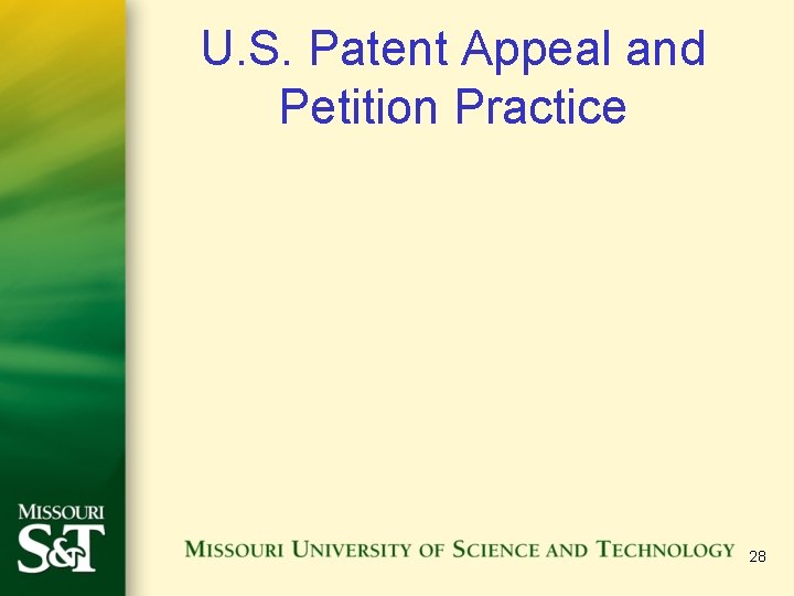 U. S. Patent Appeal and Petition Practice 28 