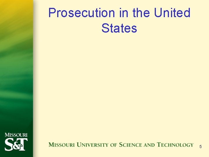 Prosecution in the United States 5 