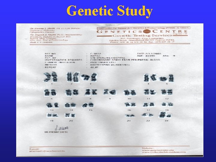 Genetic Study 