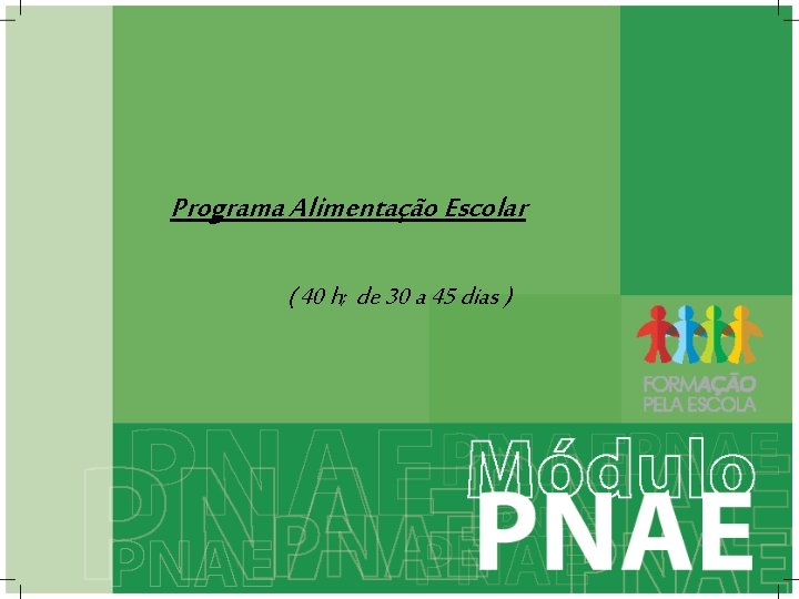 Programa Alimentação Escolar ( 40 h; de 30 a 45 dias ) Programa Alimentação Escolar ( 40 h; de 30 a 45 dias )