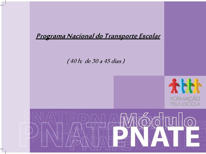 Programa Nacional do Transporte Escolar ( 40 h; de 30 a 45 dias ) Programa Nacional do Transporte Escolar ( 40 h; de 30 a 45 dias )