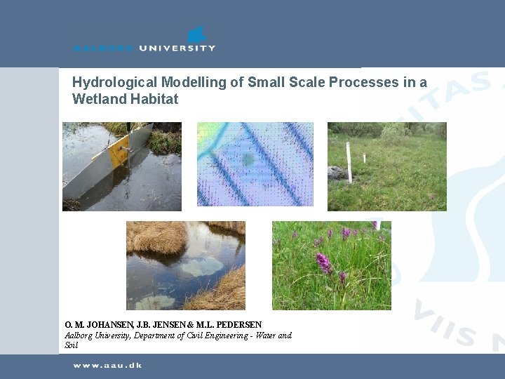 Hydrological Modelling of Small Scale Processes in a Wetland Habitat O. M. JOHANSEN, J.