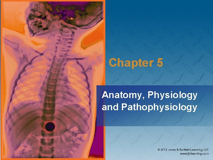 Chapter 5 Anatomy, Physiology and Pathophysiology 