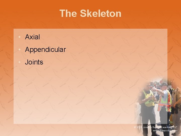 The Skeleton • Axial • Appendicular • Joints 