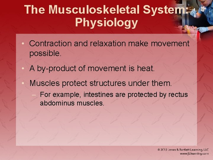 The Musculoskeletal System: Physiology • Contraction and relaxation make movement possible. • A by-product