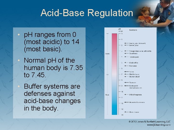 Acid-Base Regulation • p. H ranges from 0 (most acidic) to 14 (most basic).