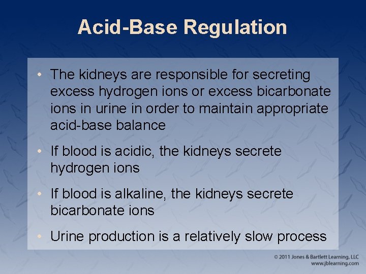 Acid-Base Regulation • The kidneys are responsible for secreting excess hydrogen ions or excess