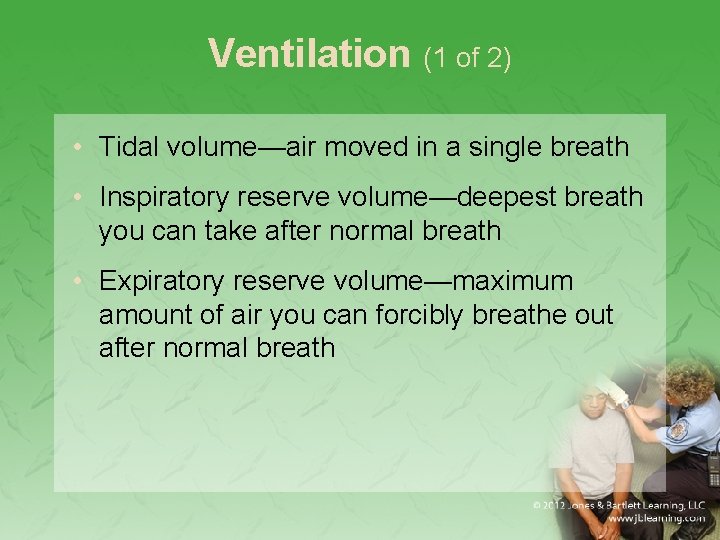 Ventilation (1 of 2) • Tidal volume—air moved in a single breath • Inspiratory