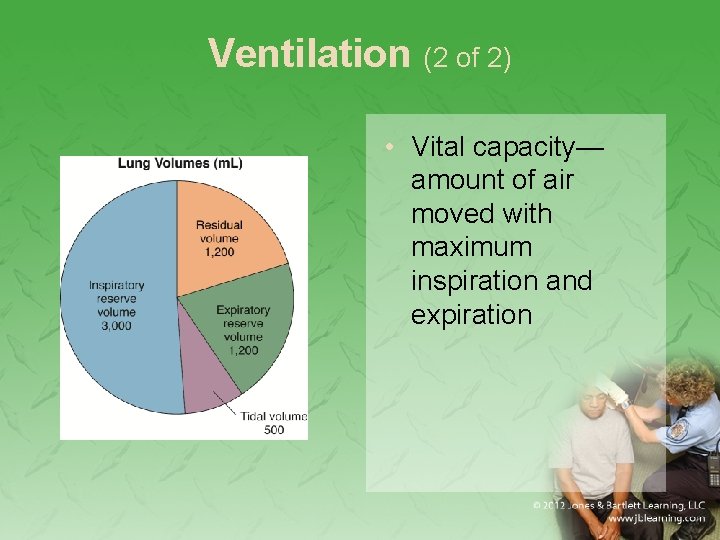 Ventilation (2 of 2) • Vital capacity— amount of air moved with maximum inspiration