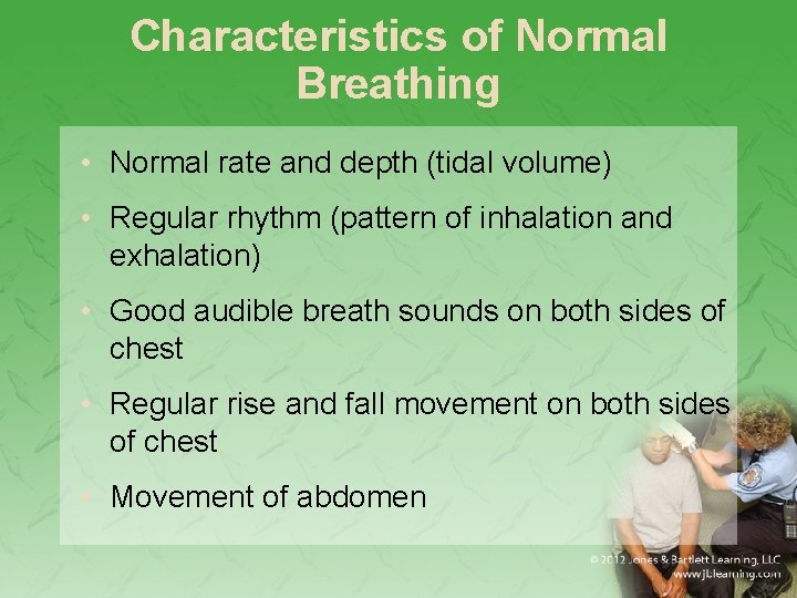 Characteristics of Normal Breathing • Normal rate and depth (tidal volume) • Regular rhythm