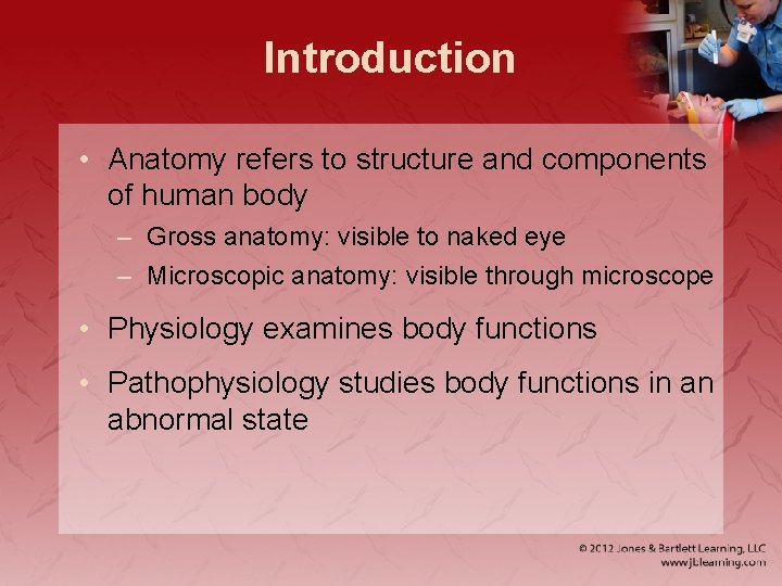 Introduction • Anatomy refers to structure and components of human body – Gross anatomy: