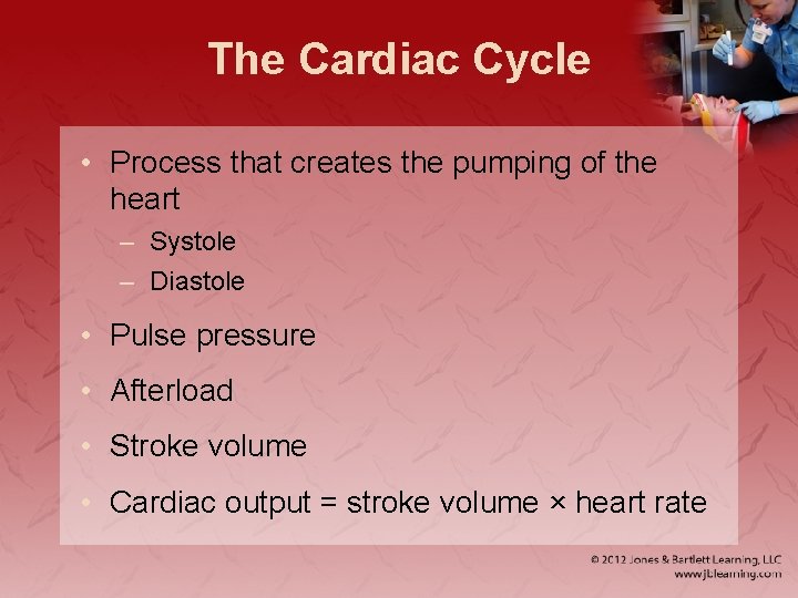 The Cardiac Cycle • Process that creates the pumping of the heart – Systole