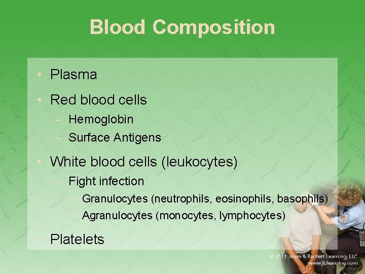 Blood Composition • Plasma • Red blood cells – Hemoglobin – Surface Antigens •