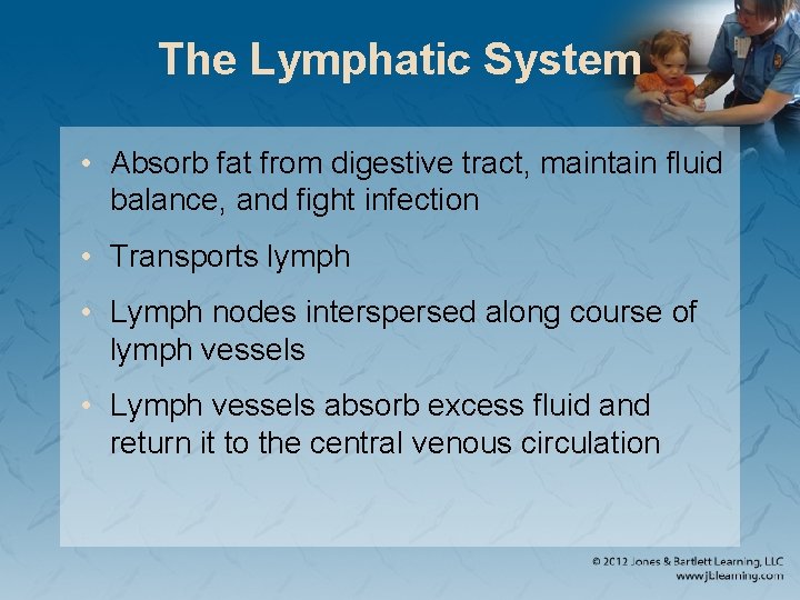 The Lymphatic System • Absorb fat from digestive tract, maintain fluid balance, and fight