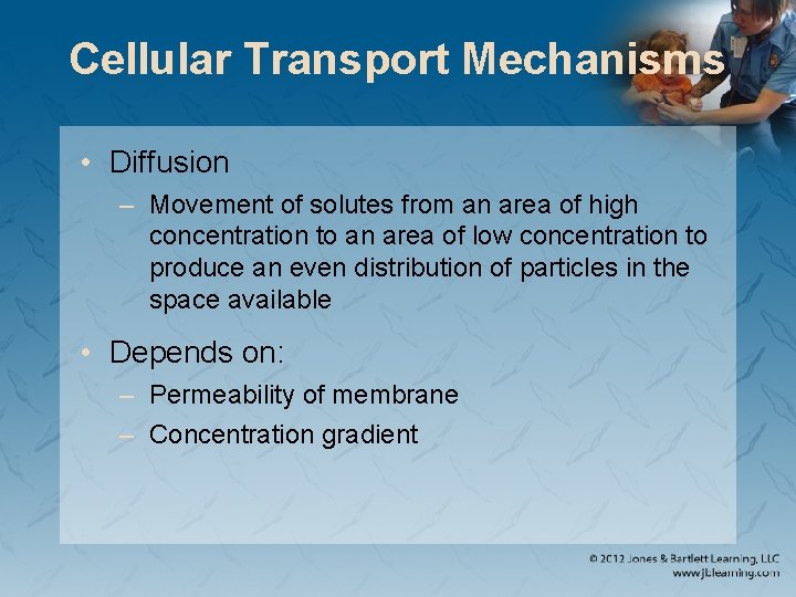 Cellular Transport Mechanisms • Diffusion – Movement of solutes from an area of high