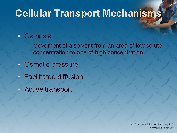 Cellular Transport Mechanisms • Osmosis – Movement of a solvent from an area of