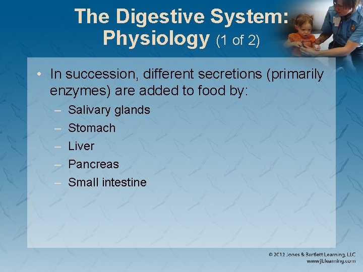 The Digestive System: Physiology (1 of 2) • In succession, different secretions (primarily enzymes)