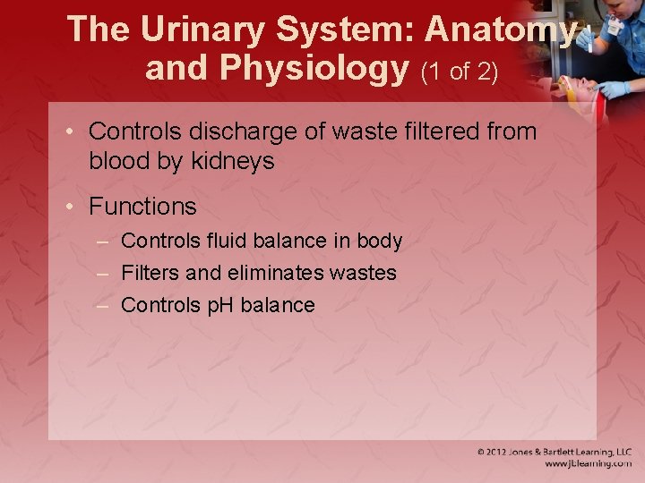 The Urinary System: Anatomy and Physiology (1 of 2) • Controls discharge of waste