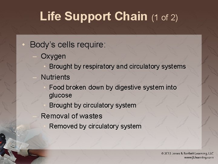 Life Support Chain (1 of 2) • Body’s cells require: – Oxygen • Brought