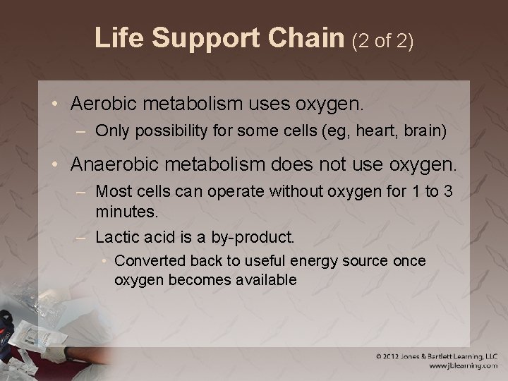 Life Support Chain (2 of 2) • Aerobic metabolism uses oxygen. – Only possibility