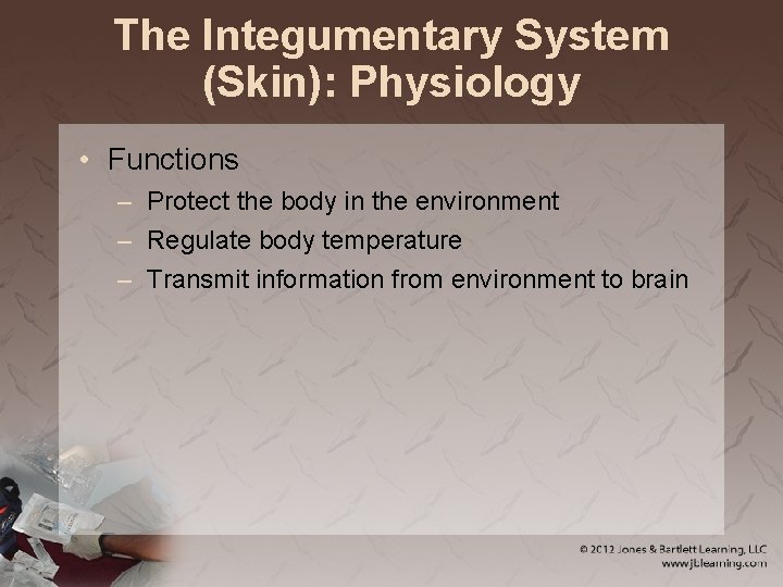 The Integumentary System (Skin): Physiology • Functions – Protect the body in the environment