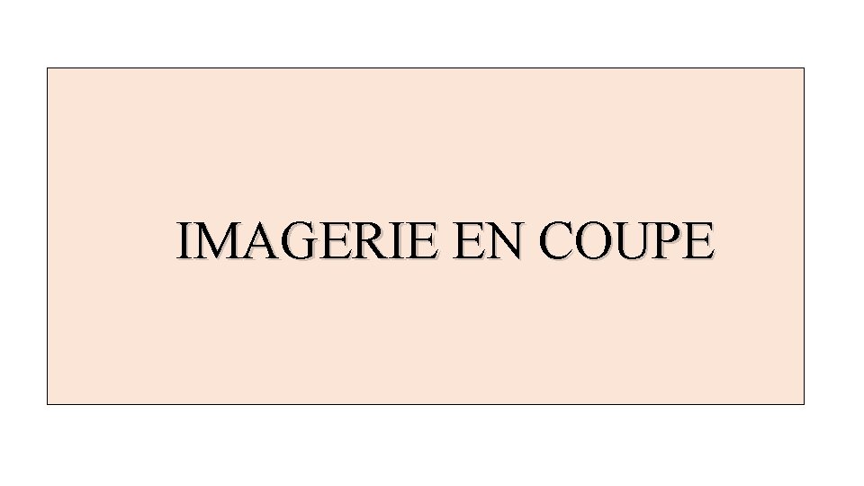  IMAGERIE EN COUPE 