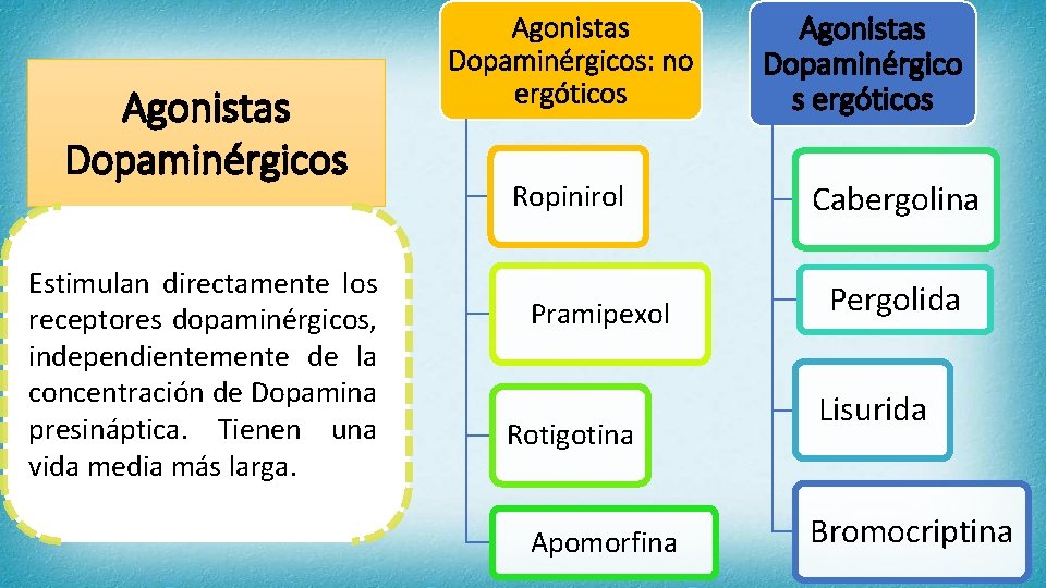 Agonistas Dopaminérgicos Estimulan directamente los receptores dopaminérgicos, independientemente de la concentración de Dopamina presináptica.