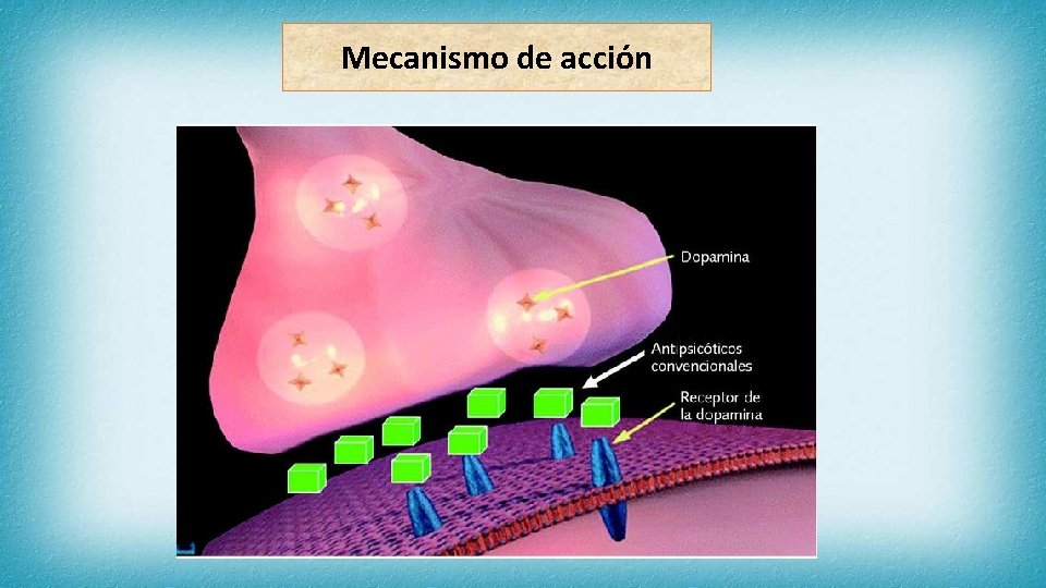 Mecanismo de acción 