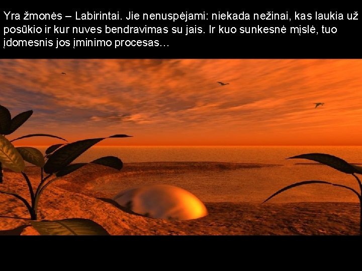 Yra žmonės – Labirintai. Jie nenuspėjami: niekada nežinai, kas laukia už posūkio ir kur
