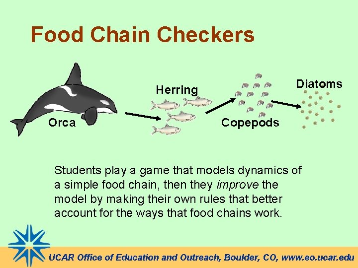 Food Chain Checkers Diatoms Herring Orca Copepods Students play a game that models dynamics