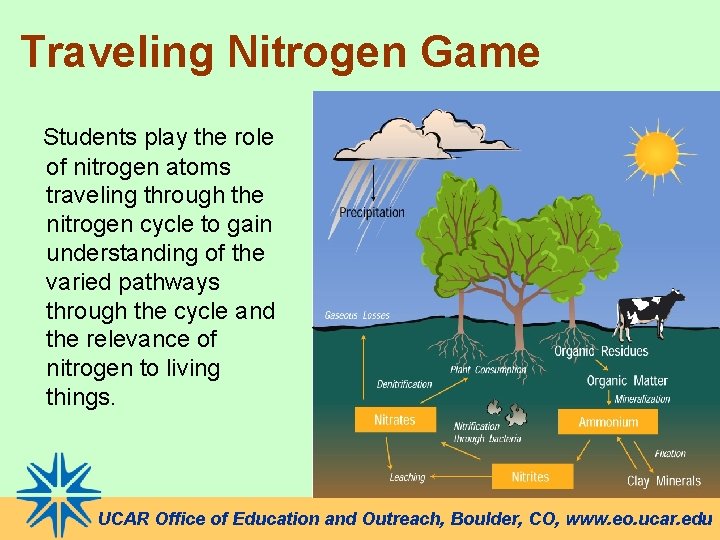 Traveling Nitrogen Game Students play the role of nitrogen atoms traveling through the nitrogen