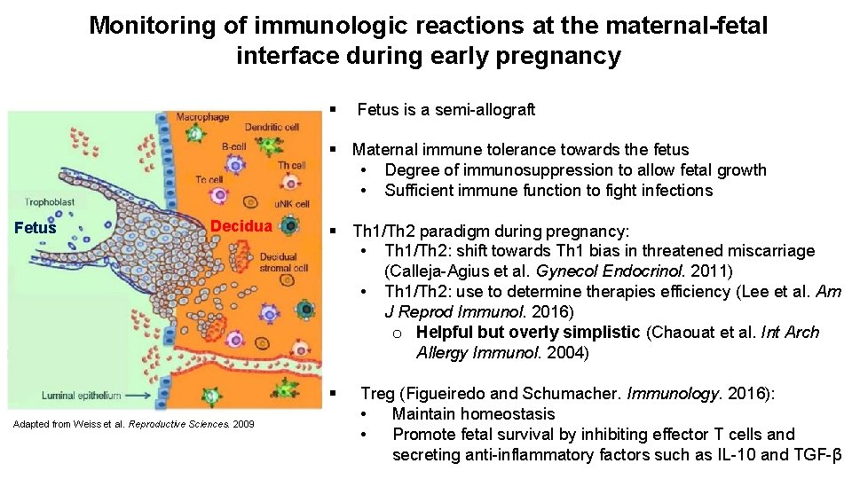 Monitoring of immunologic reactions at the maternal-fetal interface during early pregnancy § Fetus is