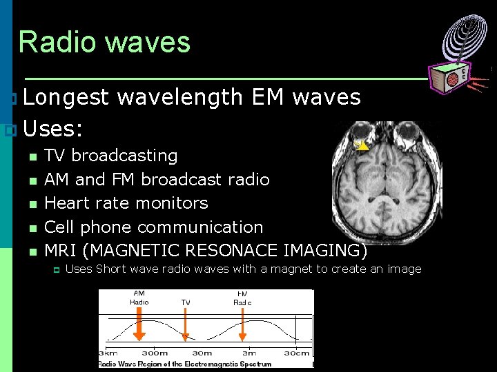 Radio waves p Longest wavelength EM waves p Uses: n TV broadcasting n AM