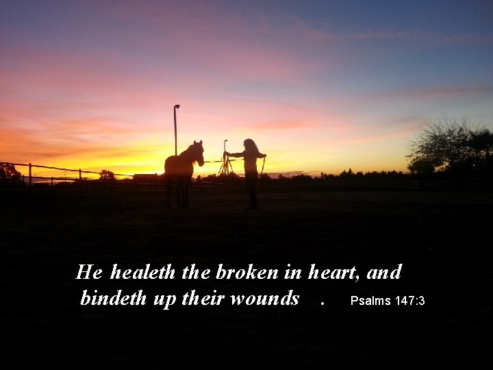 He healeth the broken in heart, and bindeth up their wounds. Psalms 147: 3