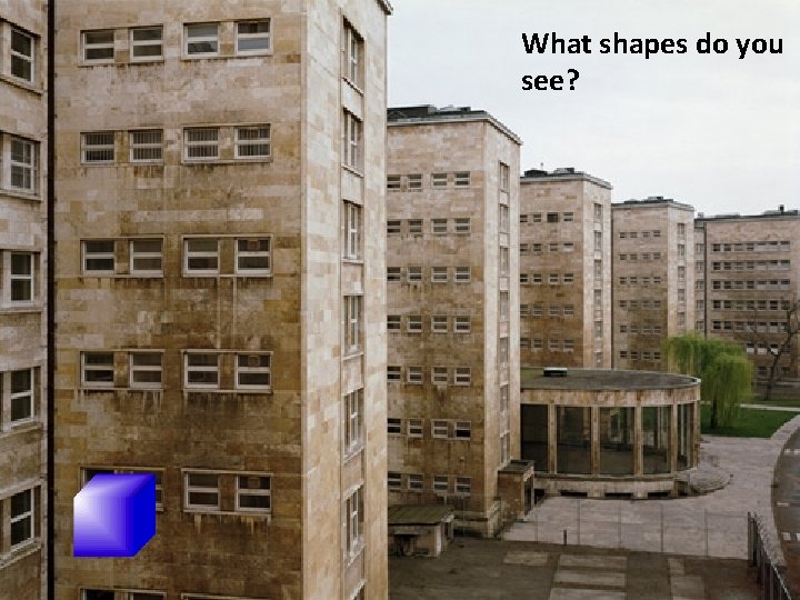 What shapes do you see? 