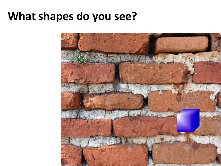 What shapes do you see? 