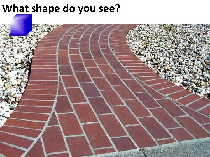 What shape do you see? 